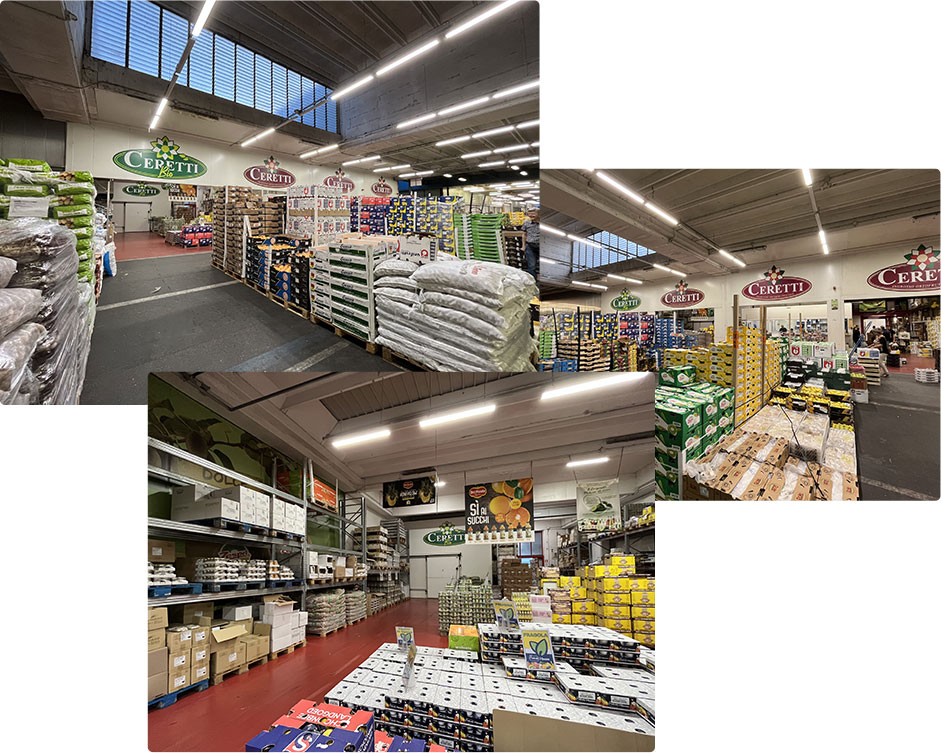 azienda