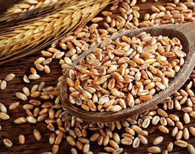 farro